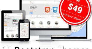 DXThemes - 55 Responsive HTML5 Templates with a Commercial License