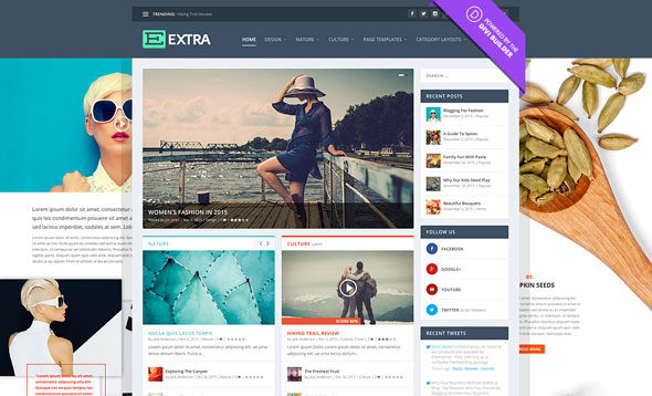 Extra v2.0.85 - Elegantthemes Premium WordPress Theme